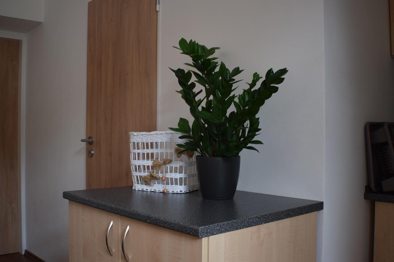 Apartmany Lipa Tabor Bagian luar foto